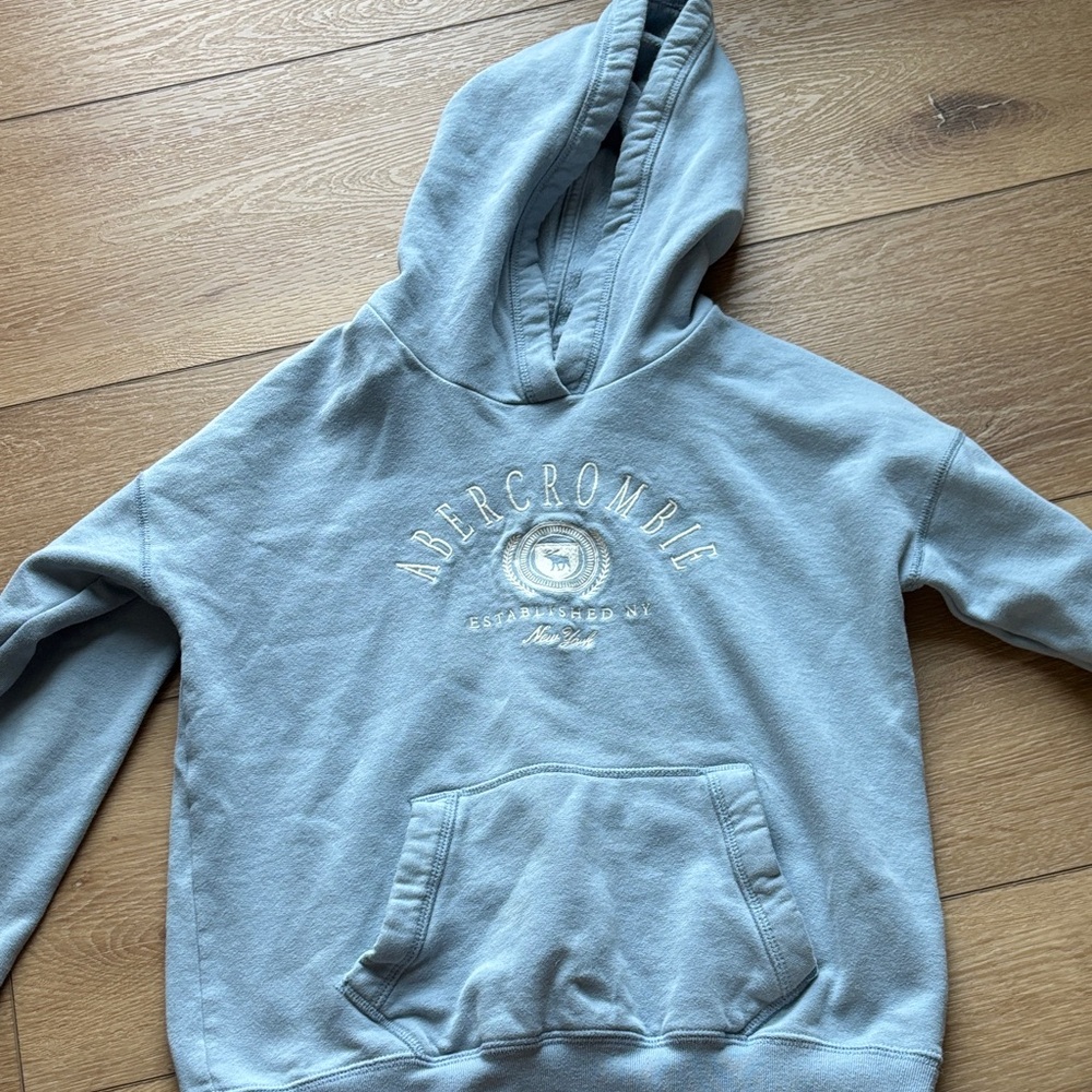 Abercrombie & Fitch Blue Men's Hoodie
